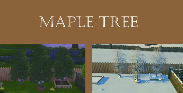 Maple Tree Harvestable